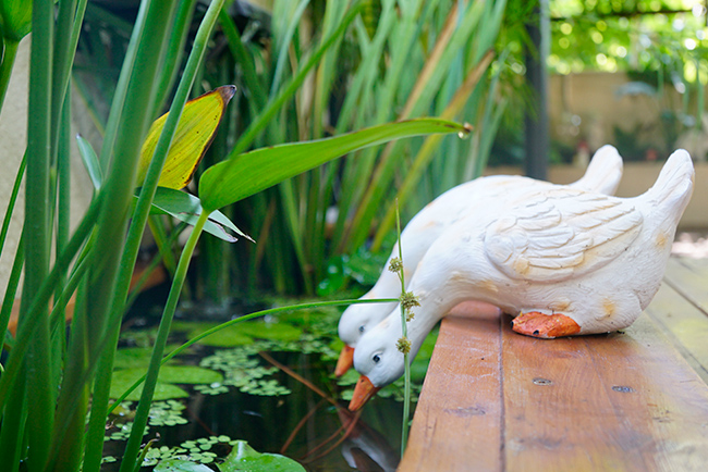 �격��������¶̨�������