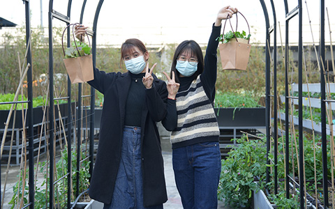 �격����԰�֣��ɸ��˶���Ķ���ũ������