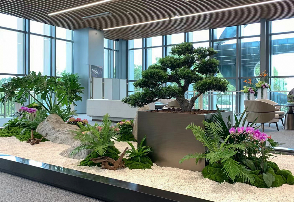 ֲ����ڰ���������������