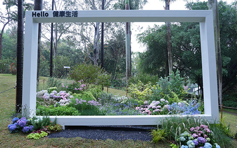 �ȼ�Ϊ�죡�격����԰�ֽ�ȫ���ۻ������������30��԰����