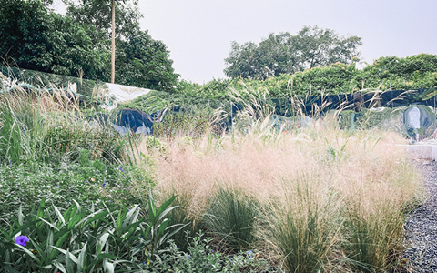 �격����-����Ʒ������