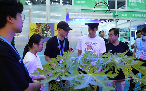 �격����-����Ʒ������