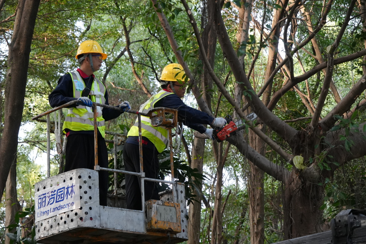 �격����-����Ʒ������