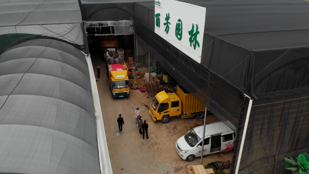 �격����-����Ʒ������