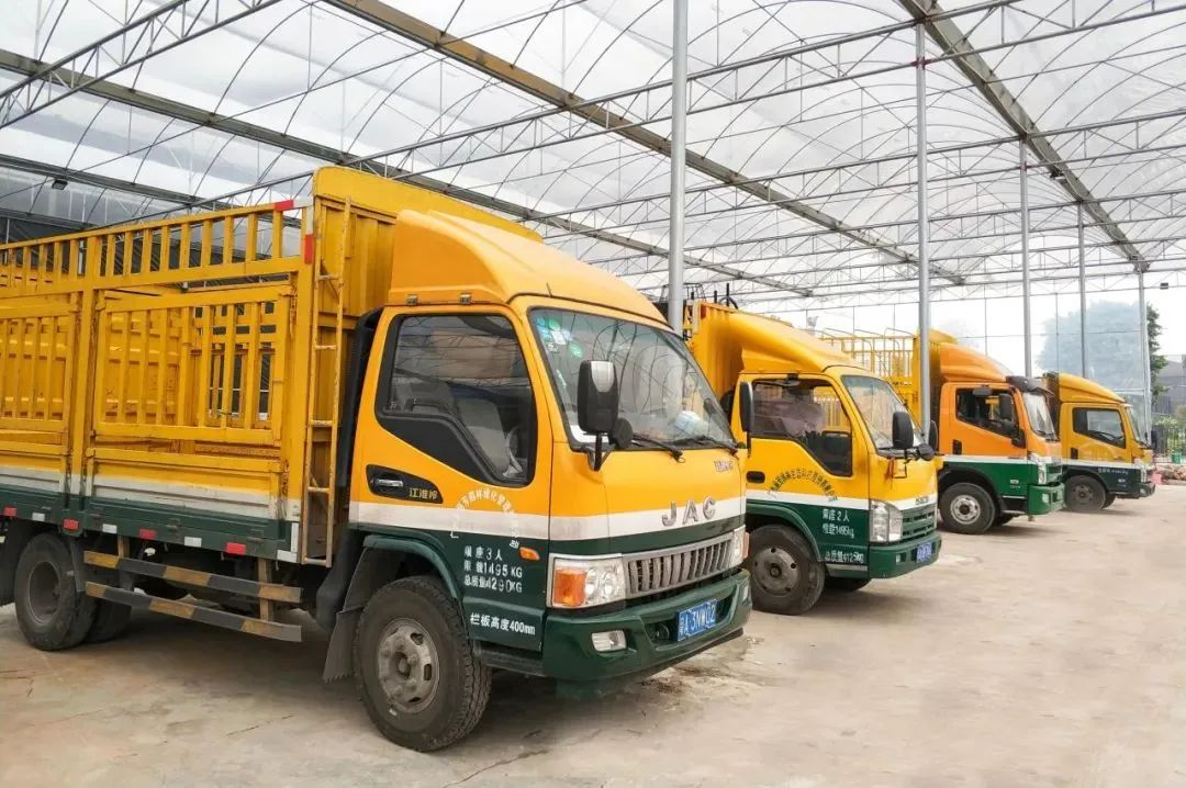 �격����-����Ʒ������