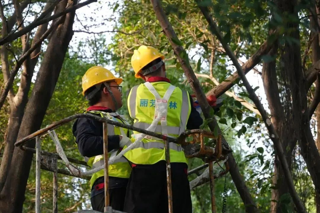 �격����-����Ʒ������