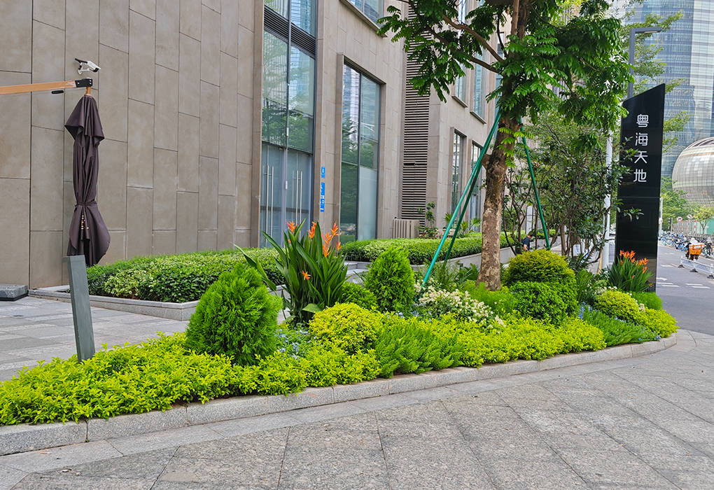 �̳��̻������ʩ��������������