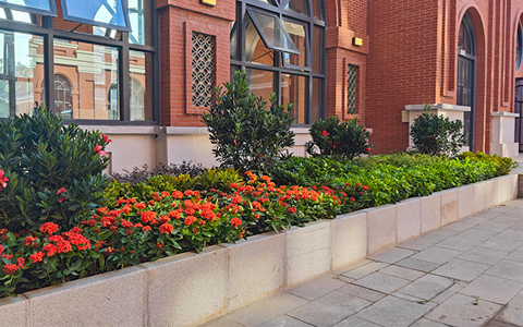 �격����԰�ְ�������ɽ��ѧ������̻�����������ĿԲ��ʵ��