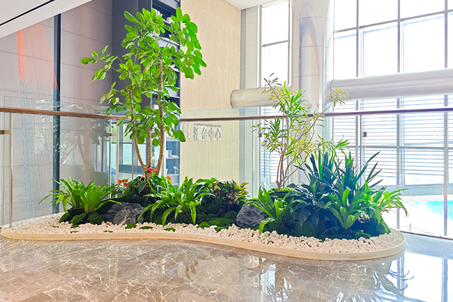 ������ֲ�쾰�������ݻ������