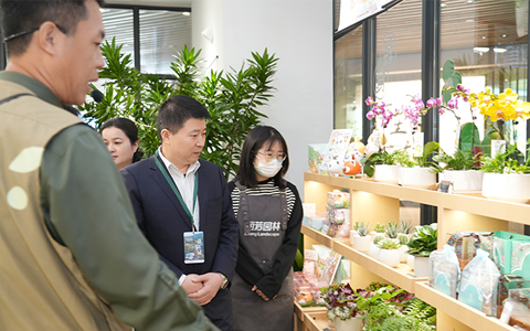 ��������ֲ��԰��԰���격����԰���Ĵ���Ʒ&ֲ����ӡ�������