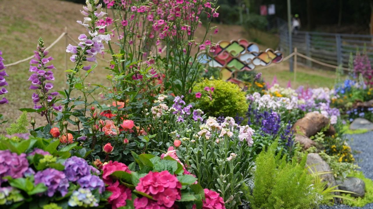 �격����-����Ʒ������