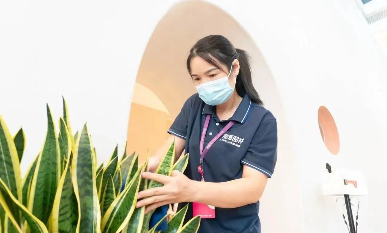 �격����-����Ʒ������