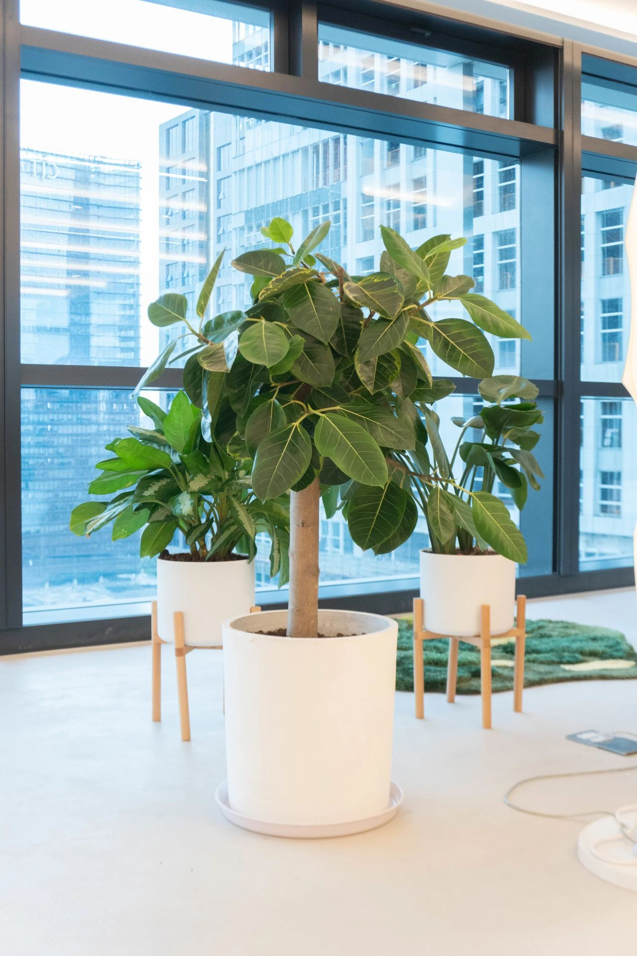 �격����-����Ʒ������