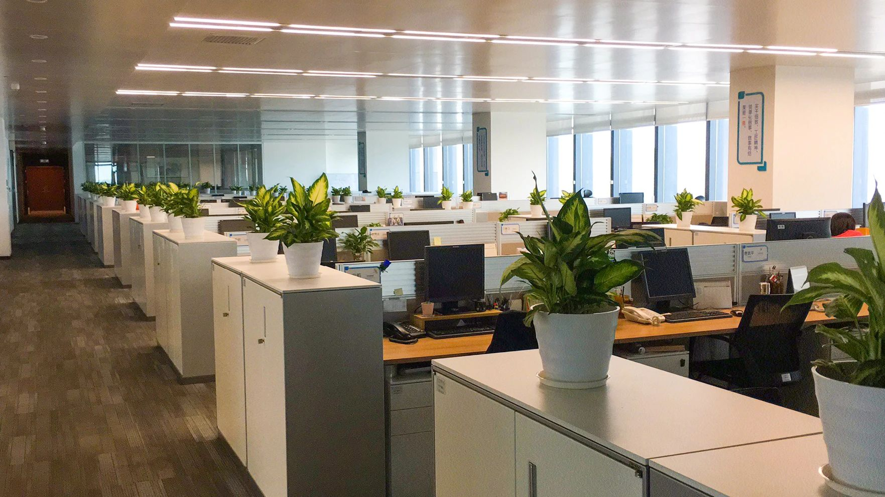 �격����-����Ʒ������