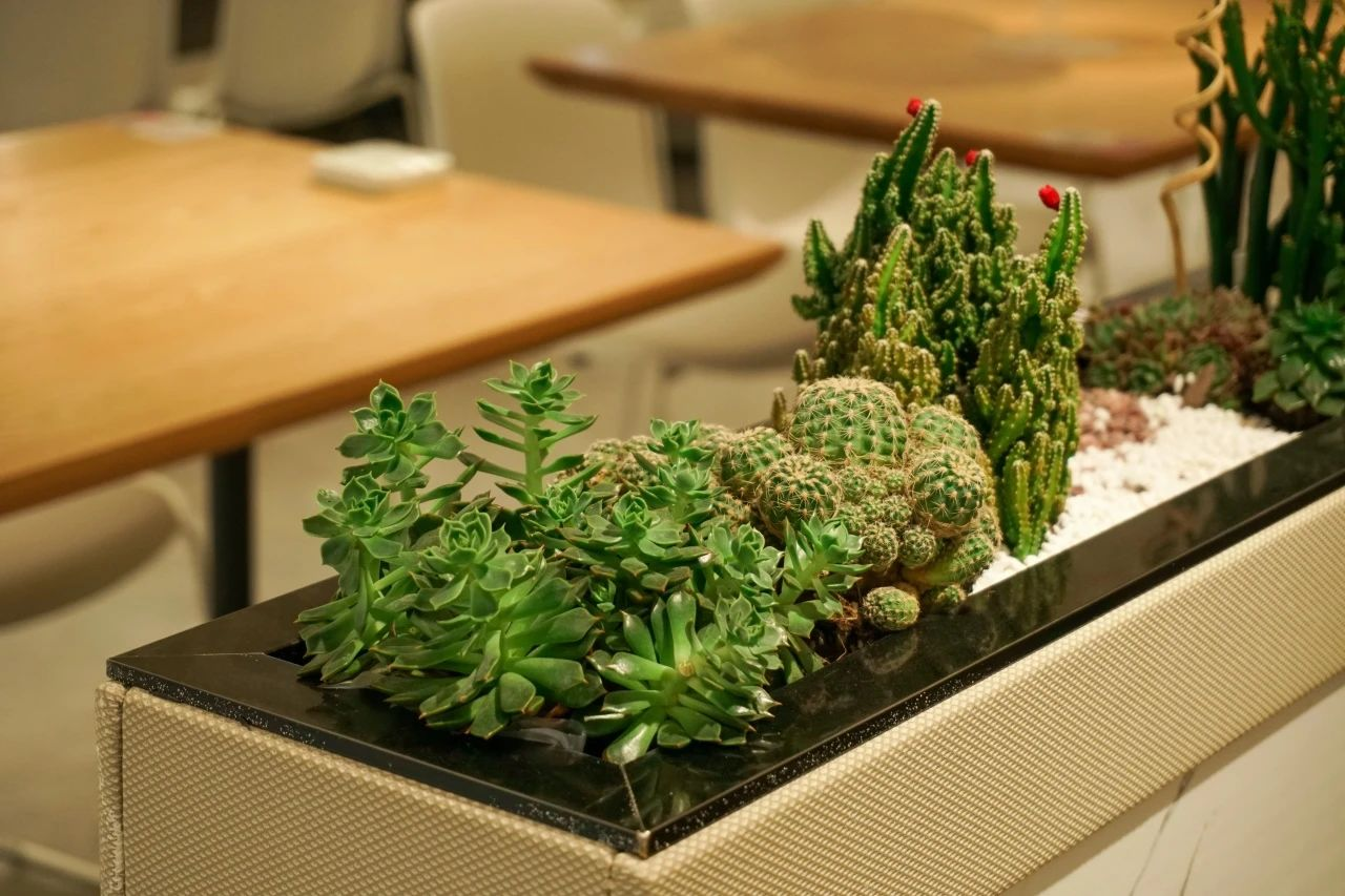 �격����-����Ʒ������