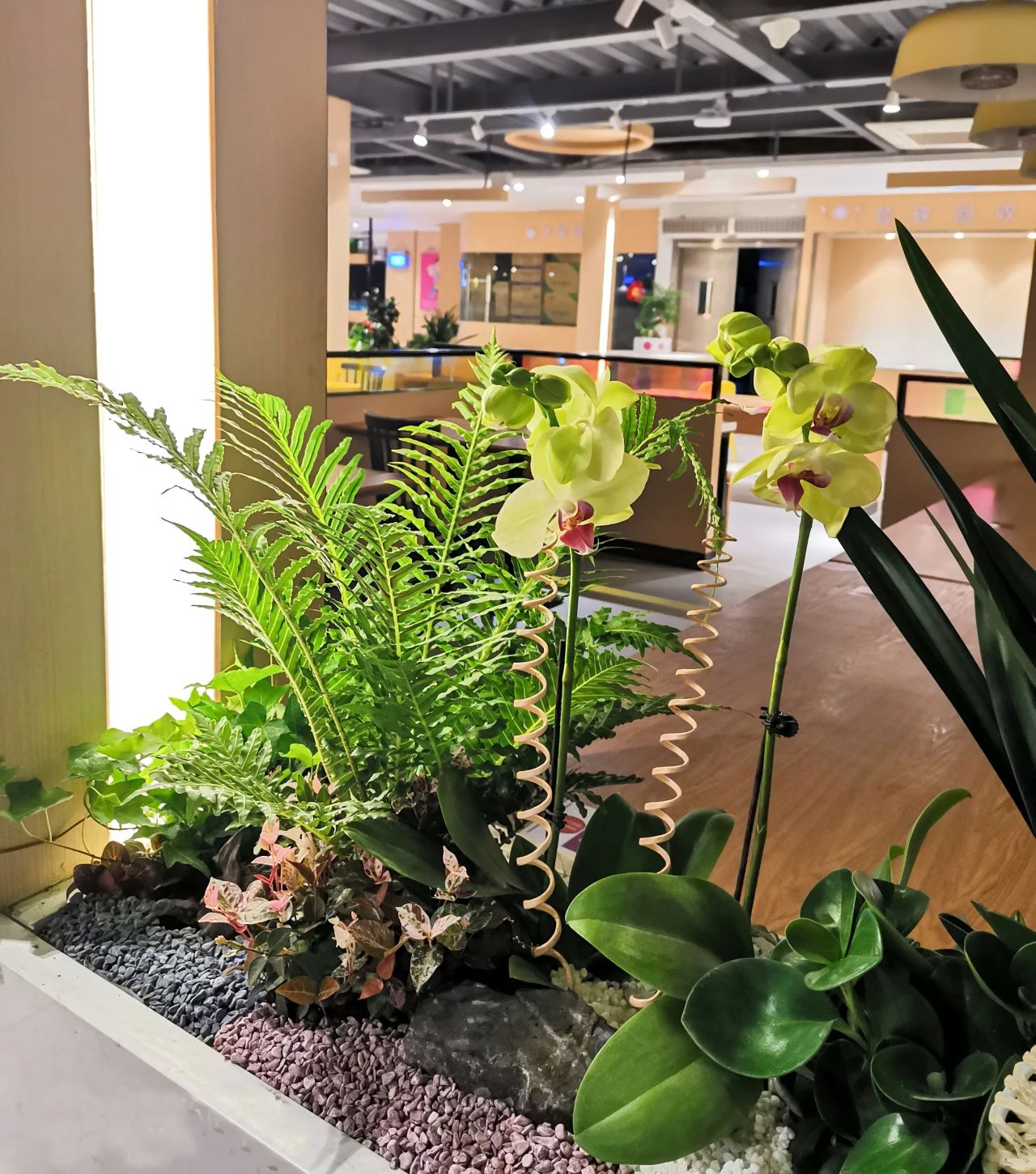 �격����-����Ʒ������