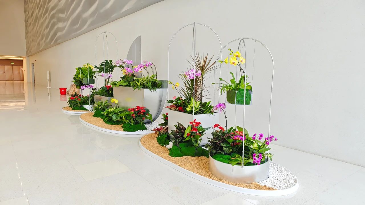 �격����-����Ʒ������