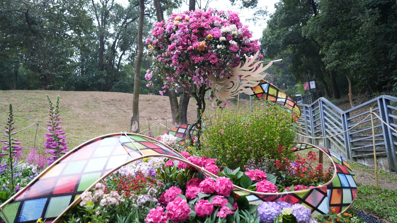 �격����-����Ʒ������