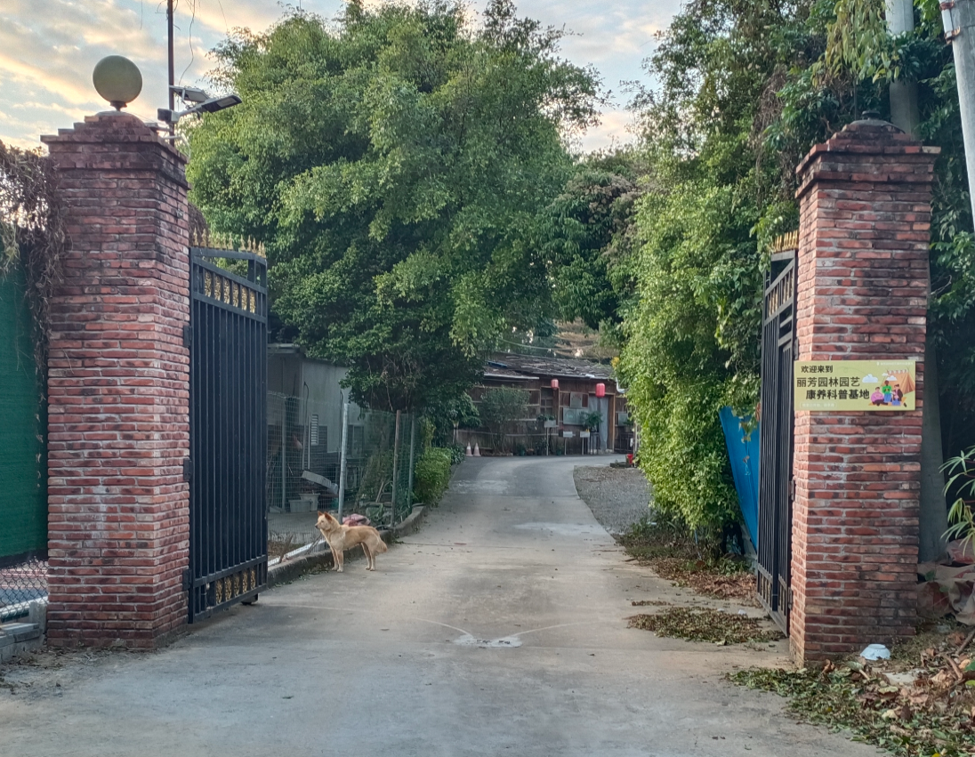 �격����-����Ʒ������