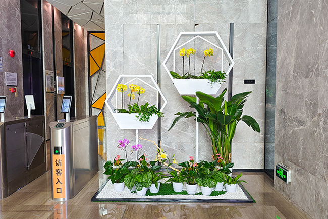 ��������������̻������龰