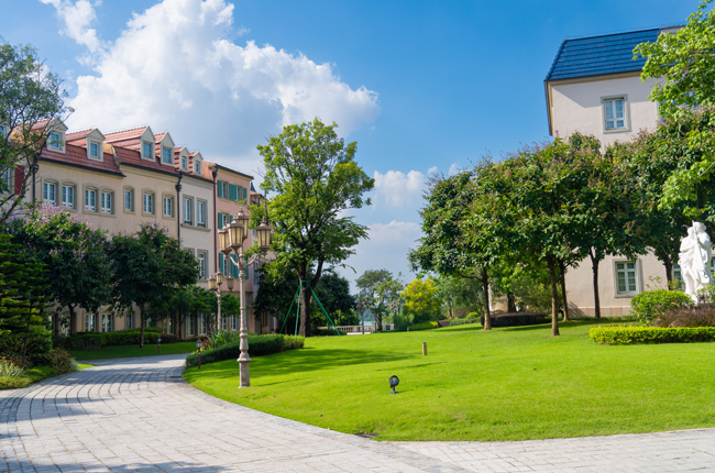 ��ݸ��ɽ��԰���̻�����