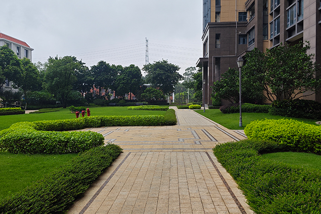 ��ï�̵����̻�����