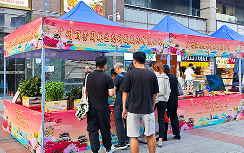 �격����԰���ԿƼ����������ǽ��������Ƕ�ʻ���