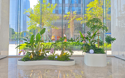 �������������ÿɼ� | ����������ֲ��ڰ���