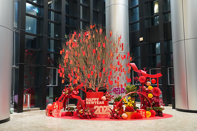 ����㳡�껨�����м�