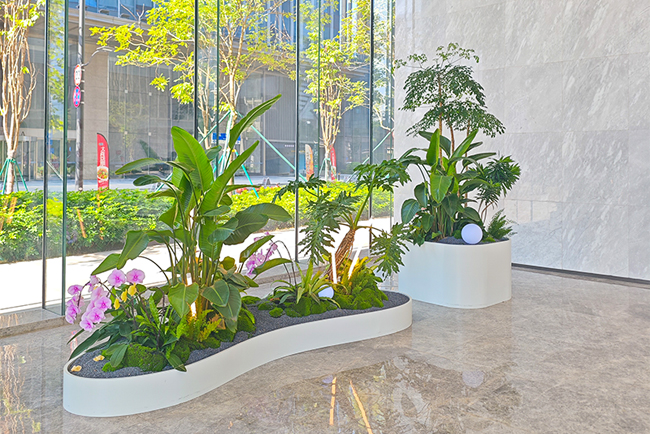 �������״�����ֲ���