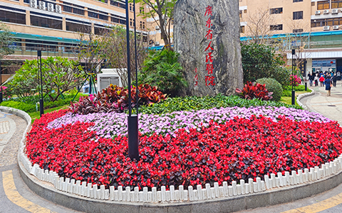 �㶫ʡ����ҽԺ�̻��������������격����԰�ָ���ҽ�ƻ�������