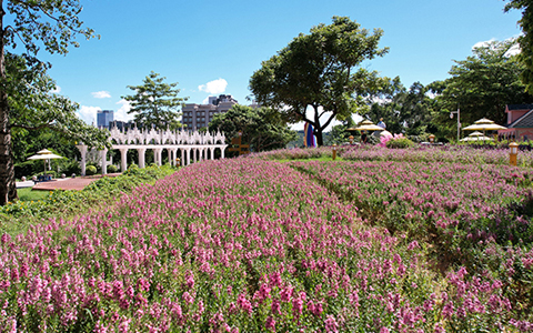 �격����԰�ּӿ�ȫ��ս������ ��ʡ����������ɫ�����±��