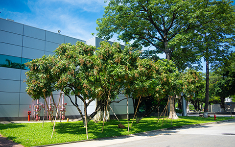 �격����԰�֣�26��רҵ���������칤����԰���̻��ĸ߲�����