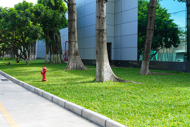 �����̻�����