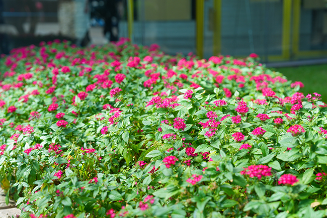 �����й�