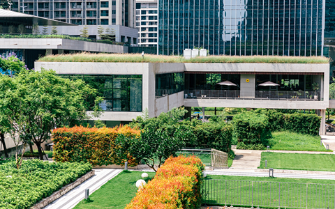 �̻��������� | ��������Ƴ���ƹ�����������������Ȼ