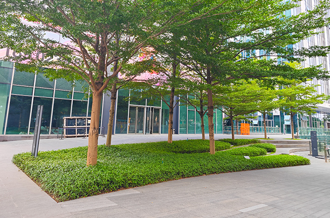 ���ݽ����㳡�̻�����&��ֲ���