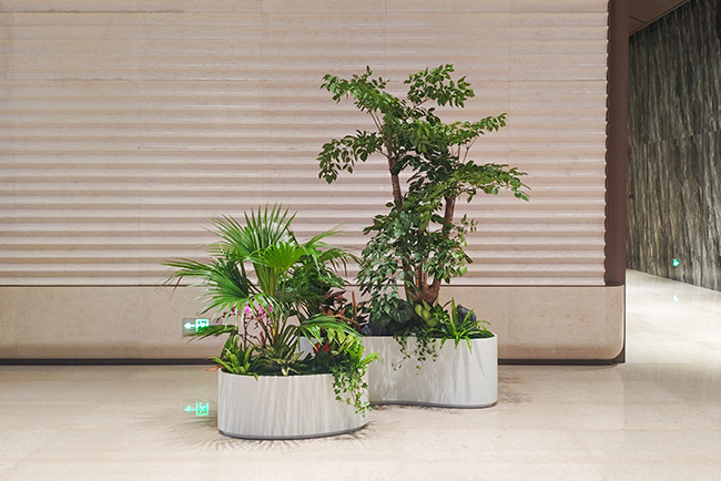 ��ʤ�㳡����ֲ�����¡�����ɫ���ڼ���ó�׿ռ�